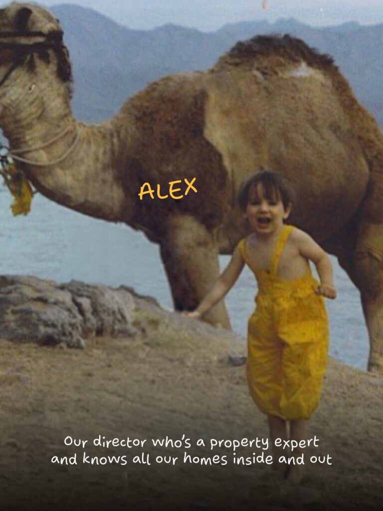 Meet the team nostalgic version_Address Properties